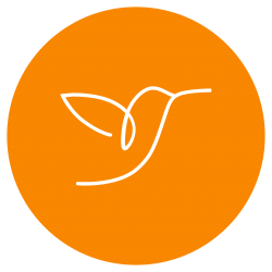 Srta. Carolina  Campos