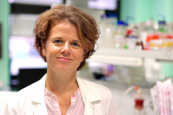 Manuela Battaglia profile image