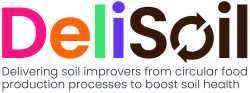 DELISOIL logo image